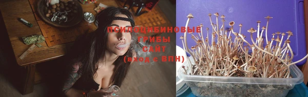 таблы Ельня