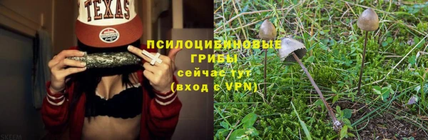 бошки Заволжск