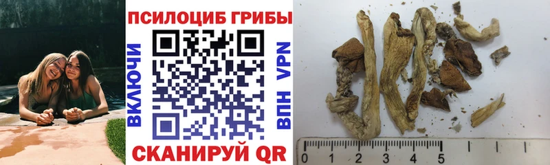 Купить закладки  Электрогорск  Галлюциногенные грибы Magic Shrooms 